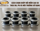 Cách Chọn Khớp Nối Mềm Cao Su Theo DN, PN Và Môi Trường Sử Dụng