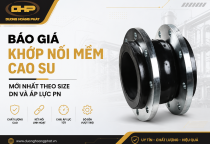 Báo Giá Khớp Nối Mềm Cao Su Mới Nhất Theo Size DN Và Áp Lực PN