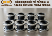 Cách Chọn Khớp Nối Mềm Cao Su Theo DN, PN Và Môi Trường Sử Dụng